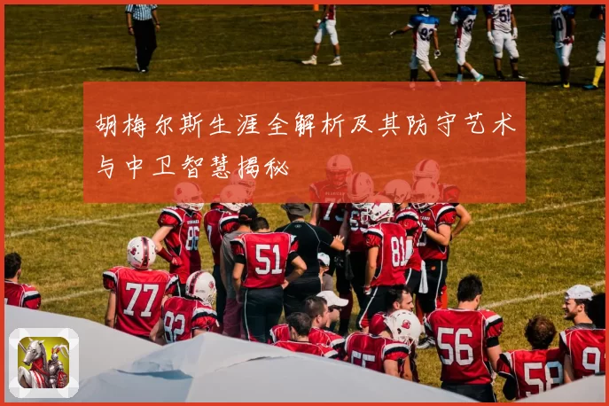 胡梅尔斯生涯全解析及其防守艺术与中卫智慧揭秘