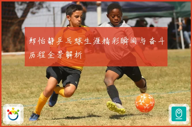 郑怡静乒乓球生涯精彩瞬间与奋斗历程全景解析