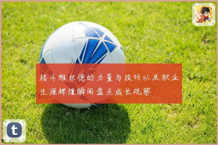 格斗维尔德的力量与技巧以及职业生涯辉煌瞬间盘点成长观察