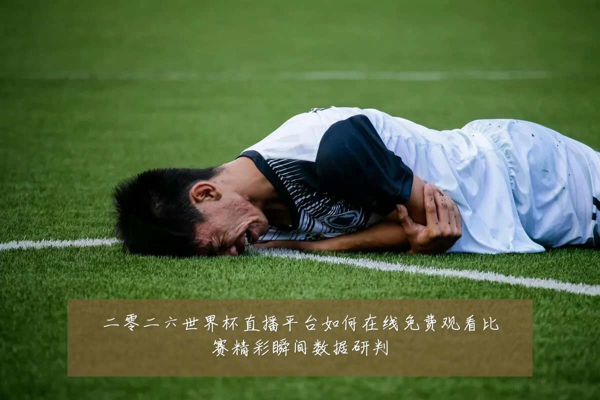 二零二六世界杯直播平台如何在线免费观看比赛精彩瞬间数据研判