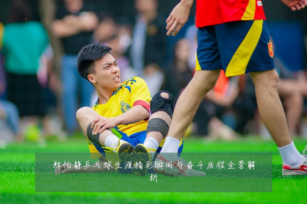 郑怡静乒乓球生涯精彩瞬间与奋斗历程全景解析