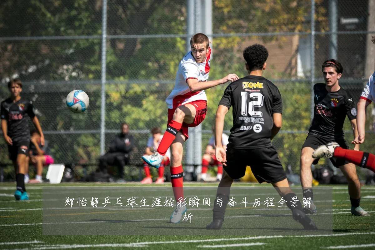 郑怡静乒乓球生涯精彩瞬间与奋斗历程全景解析